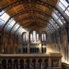 سالن مرکزی موزه natural history لندن - معماری ویکتریایی با استفاده از فولاد