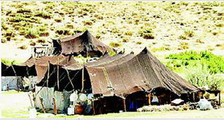 چادر عشایر