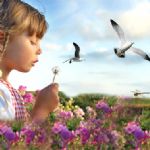 مسابقه بین المللی نوآوری بیونیک