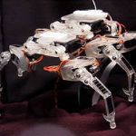 بیو دیزاین، ربات عنکبوتی Spider-bot