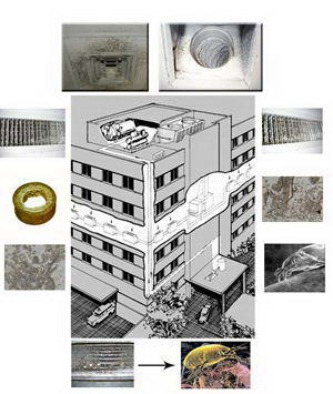 سندروم ساختمان Sick Building syndrome