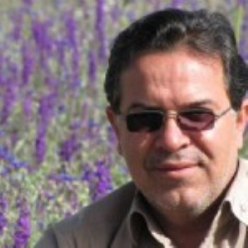 رضا سلیمی